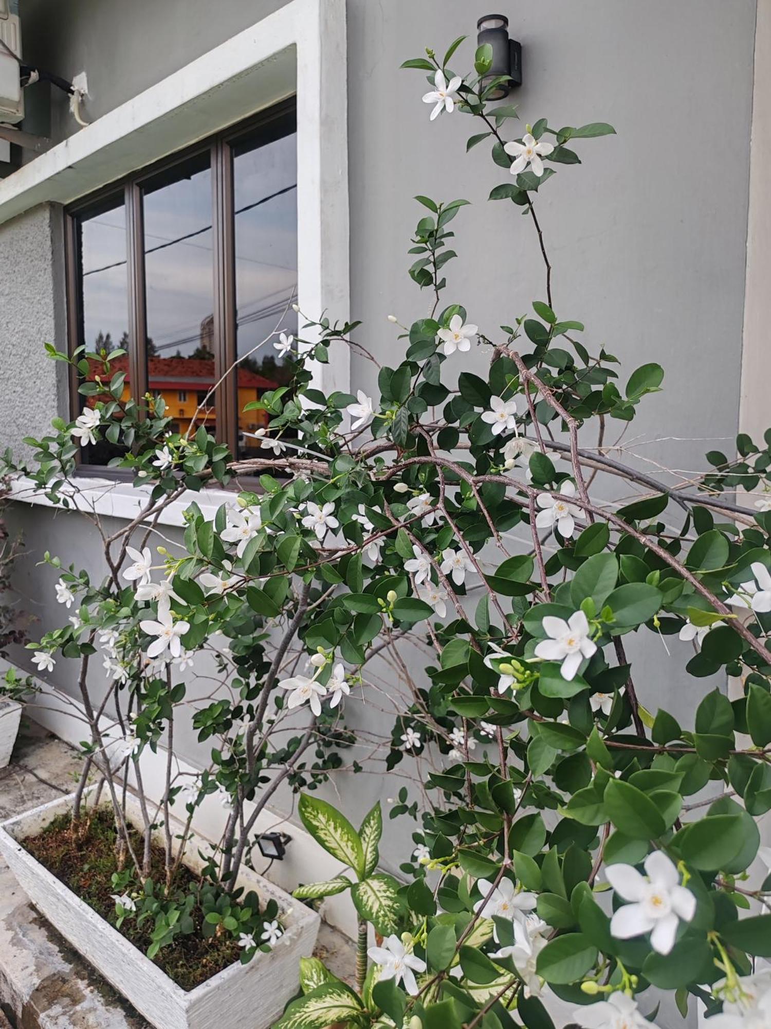 Melaka Beach Villa  Klebang Besar Exteriör bild